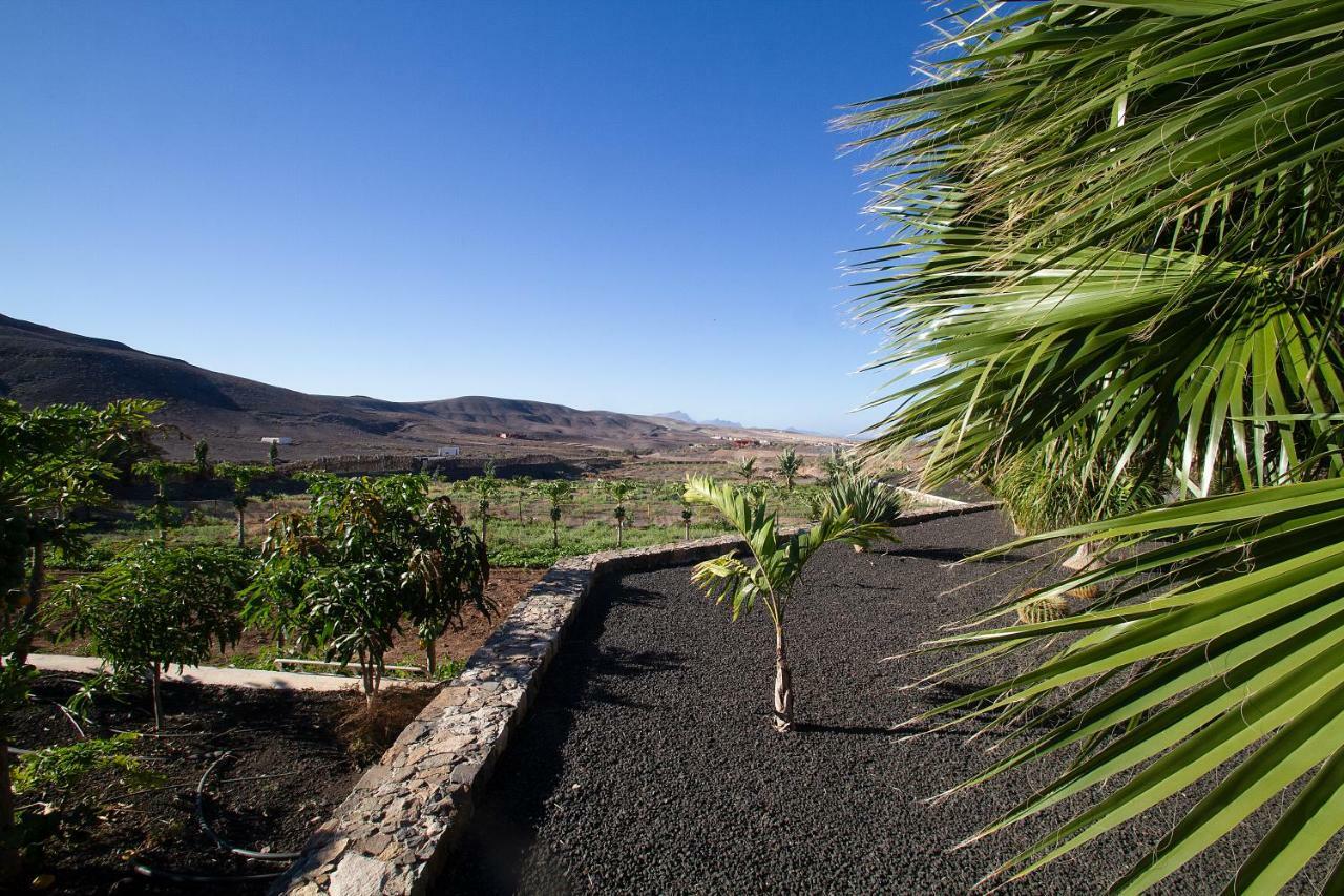 Finca Arbequina Пайара Экстерьер фото