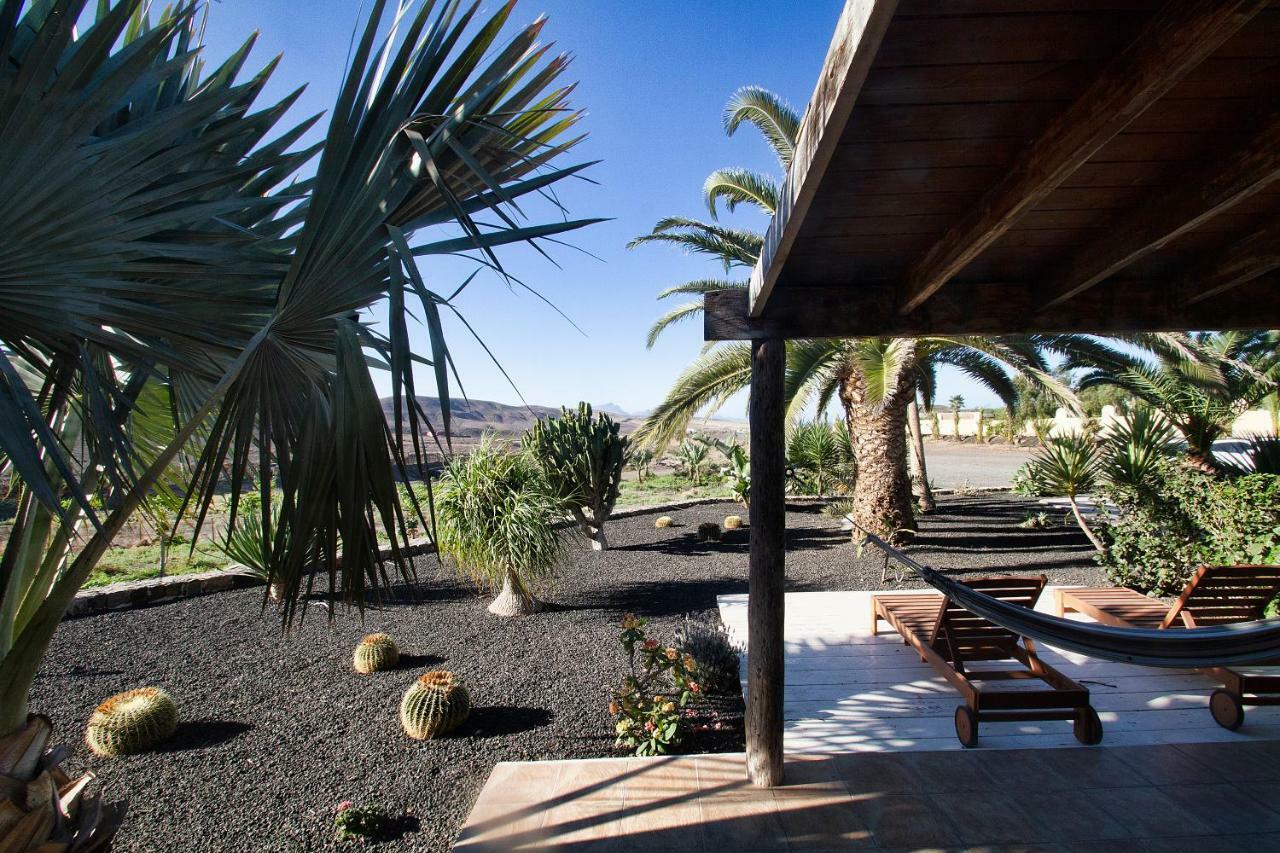 Finca Arbequina Пайара Экстерьер фото